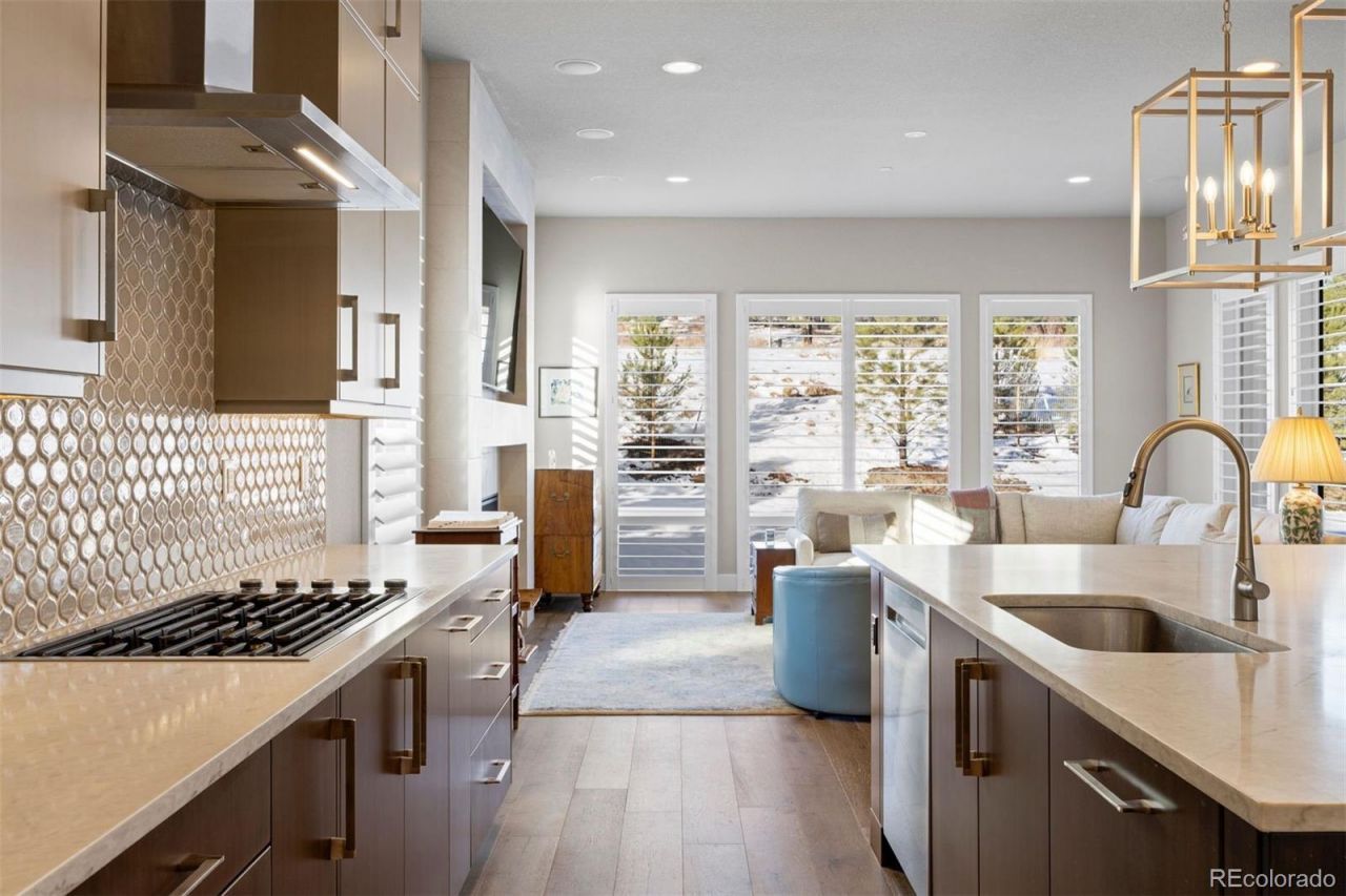 1173 Lost Elk Circle, Castle Rock, CO 80108 Main Photo