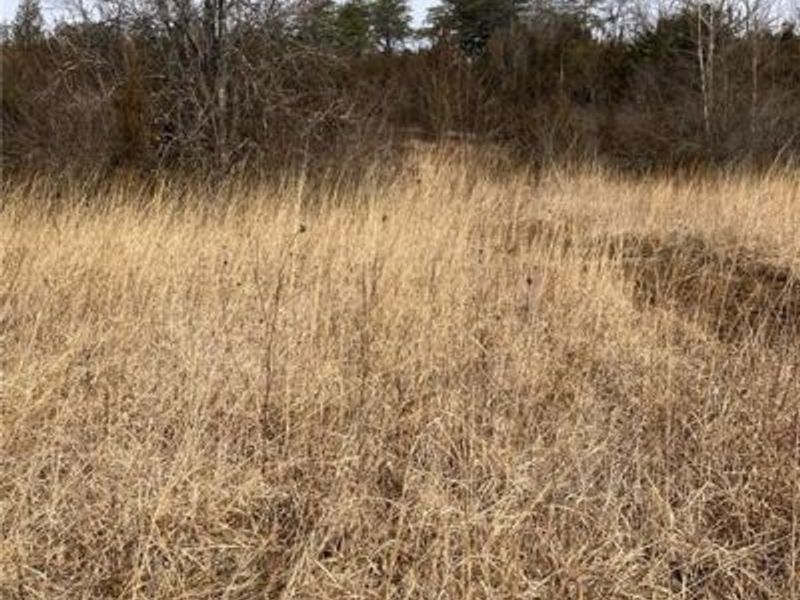 31648 State Route 41, Peebles, OH 45660 Photo 2