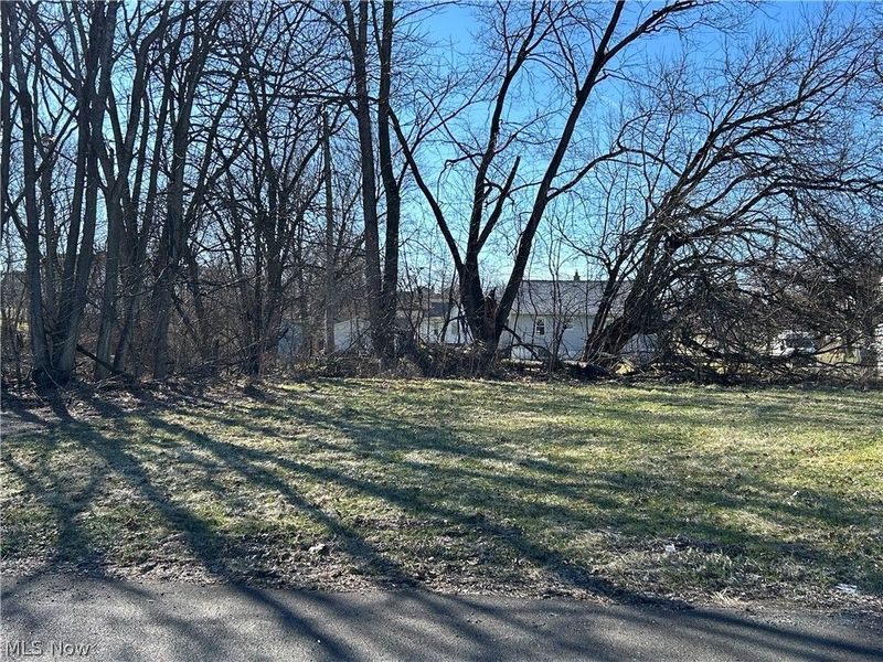 Midland Avenue, Youngstown, OH 44509 Photo 2