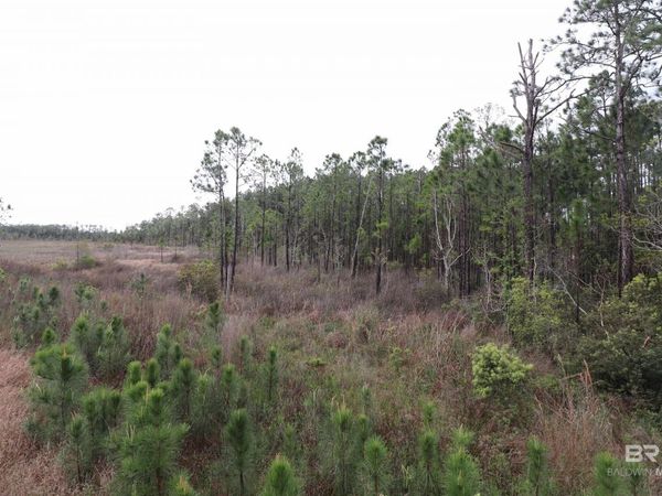 0 County Road 6, Gulf Shores, AL 36561