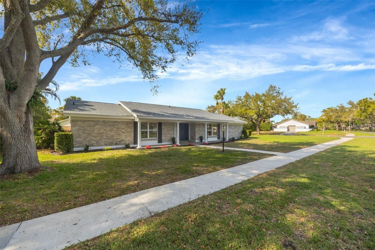 10408 Butia Place, Tampa, FL 33618 Photo