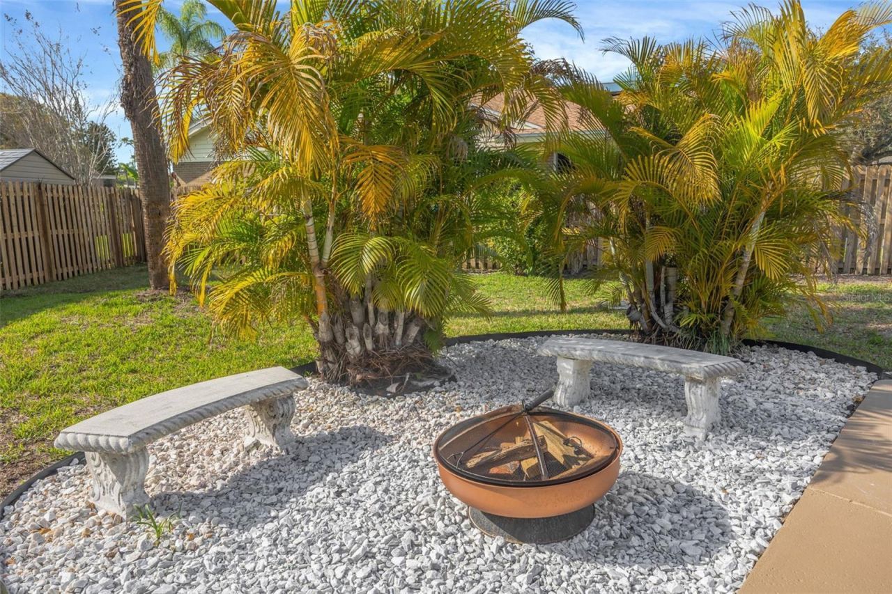 10408 Butia Place, Tampa, FL 33618 Photo