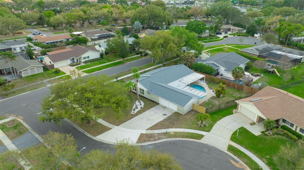 10408 Butia Place, Tampa, FL 33618 Photo
