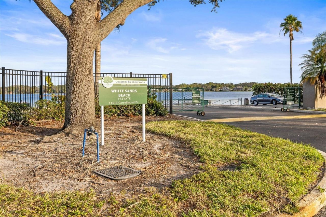 10408 Butia Place, Tampa, FL 33618 Photo
