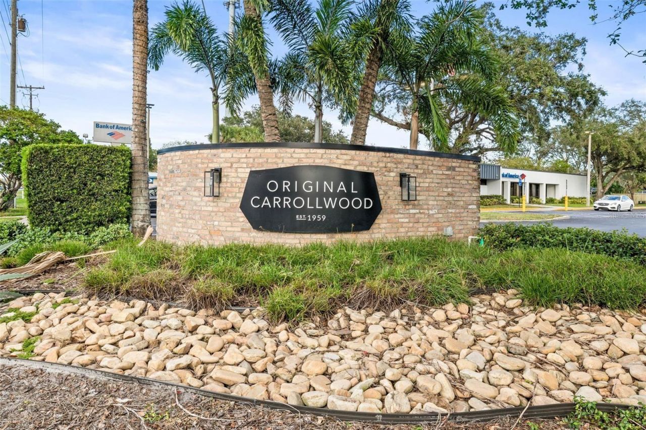 10408 Butia Place, Tampa, FL 33618 Photo