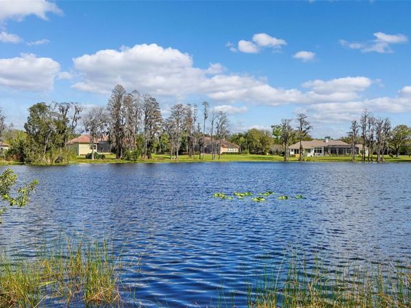 18709 WAYNE ROAD , ODESSA, FL 33556