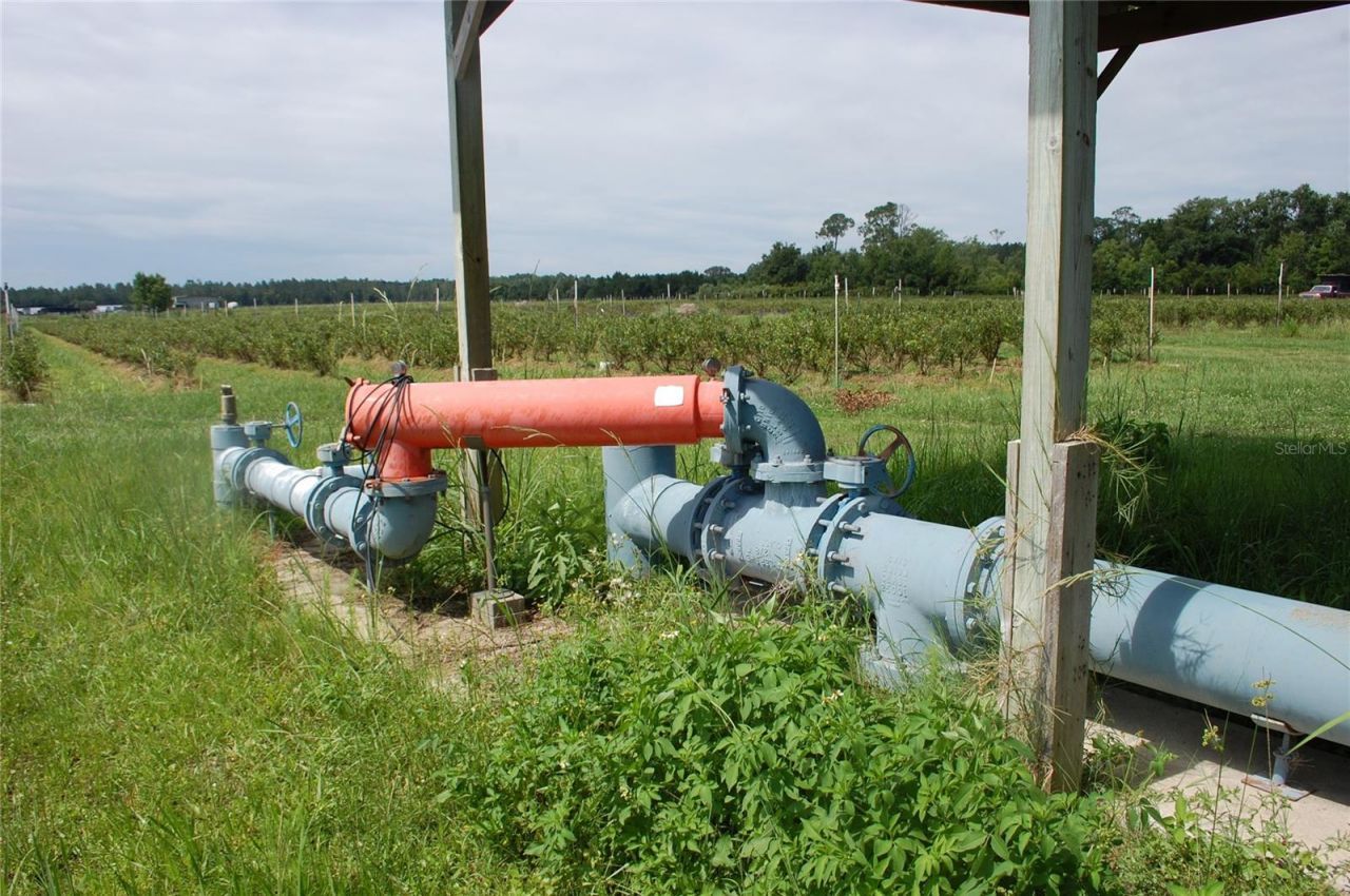 18811 SE 243rd Street, Hawthorne, FL 32640 Photo