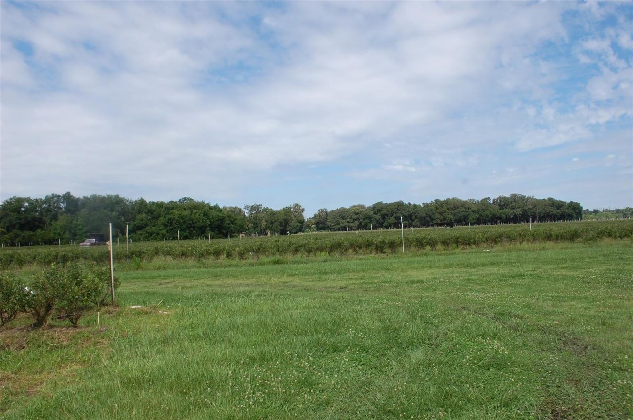 18811 SE 243rd Street, Hawthorne, FL 32640 Photo