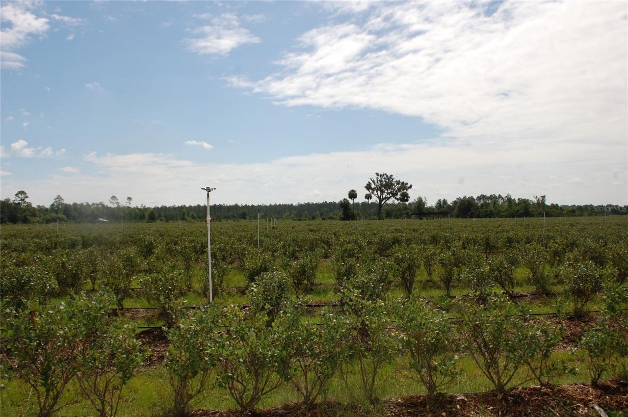 18811 SE 243rd Street, Hawthorne, FL 32640 Photo