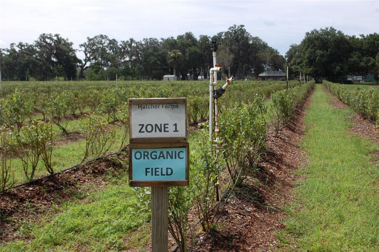 18811 SE 243rd Street, Hawthorne, FL 32640 Photo