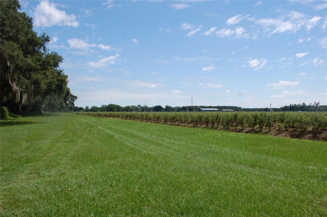 18811 SE 243rd Street, Hawthorne, FL 32640 Photo