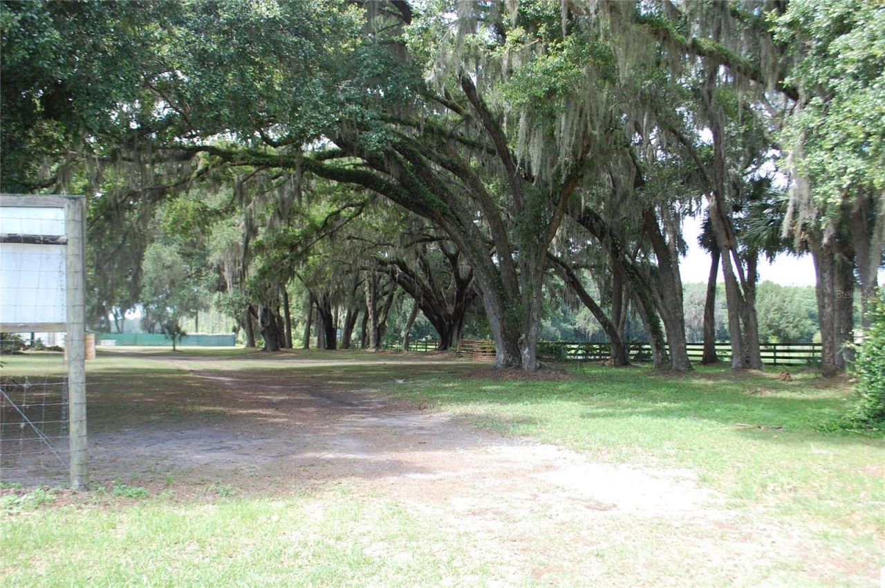 18811 SE 243rd Street, Hawthorne, FL 32640 Photo