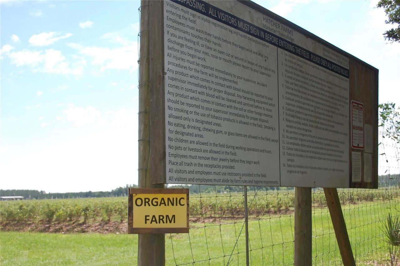 18811 SE 243rd Street, Hawthorne, FL 32640 Photo