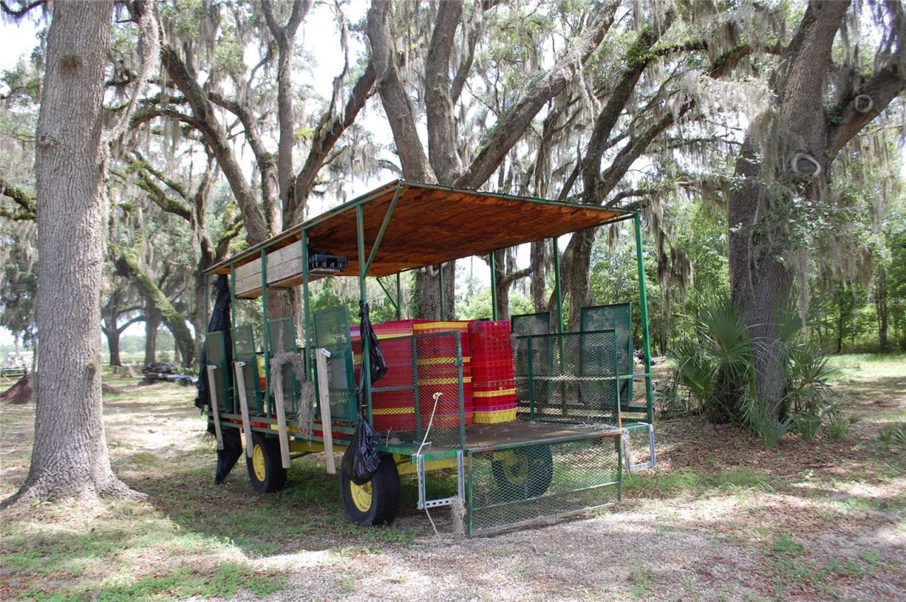 18811 SE 243rd Street, Hawthorne, FL 32640 Photo