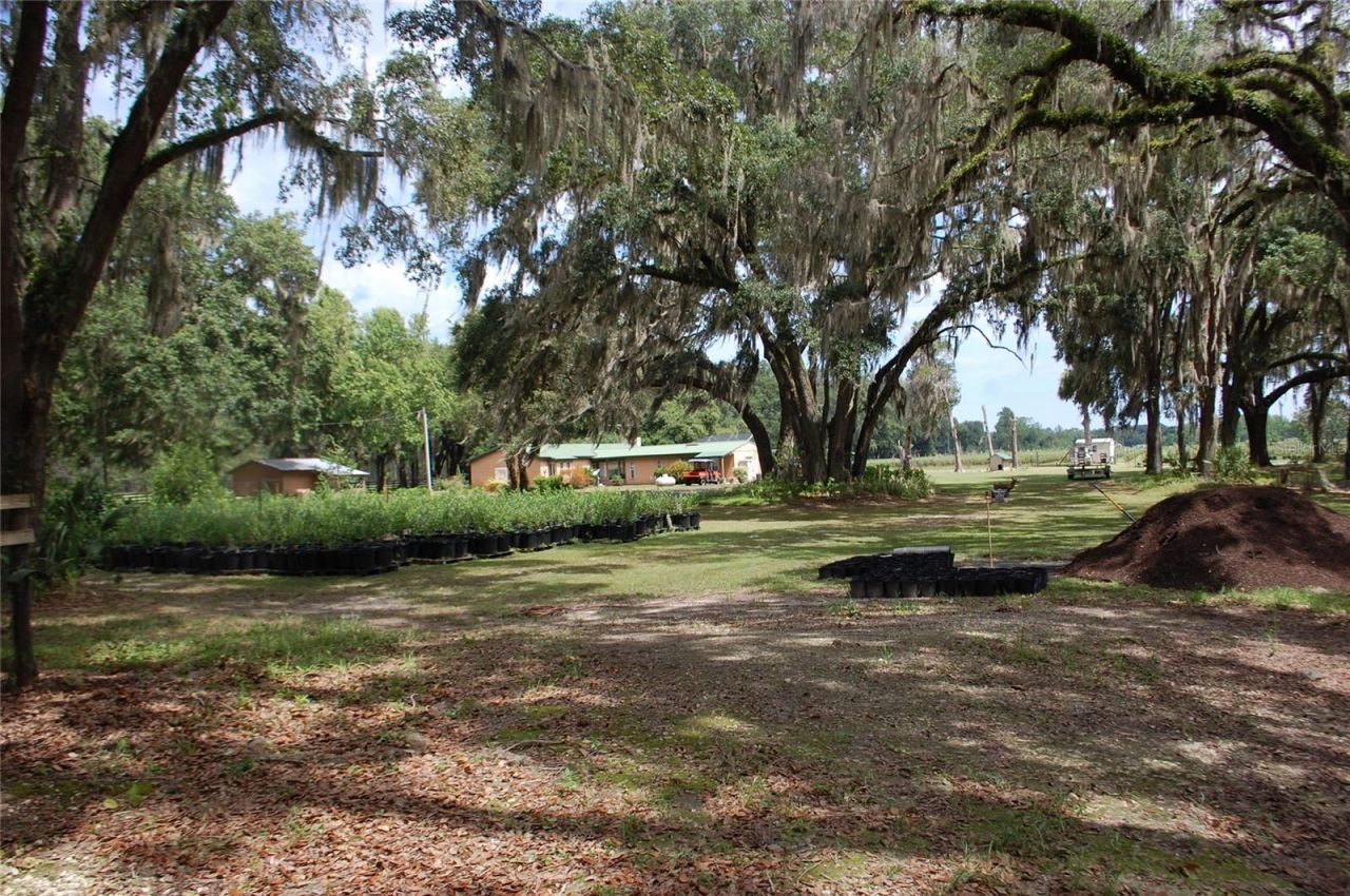 18811 SE 243rd Street, Hawthorne, FL 32640 Photo