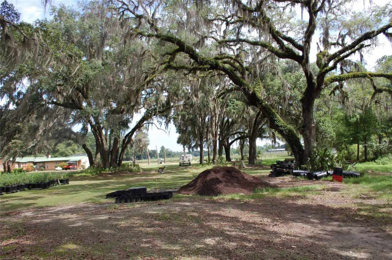 18811 SE 243rd Street, Hawthorne, FL 32640 Photo