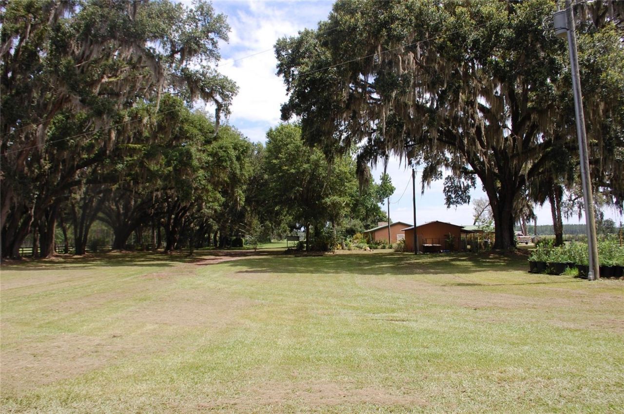 18811 SE 243rd Street, Hawthorne, FL 32640 Photo