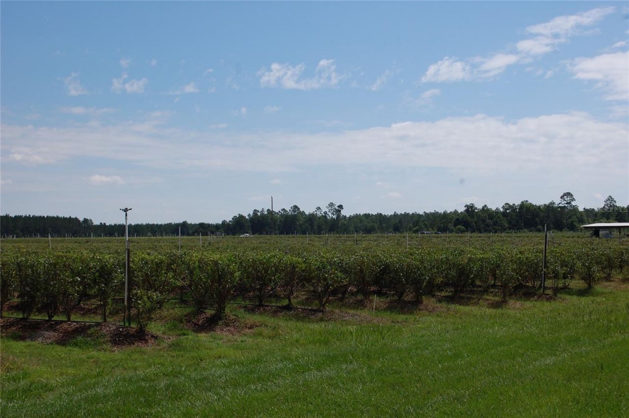 18811 SE 243rd Street, Hawthorne, FL 32640 Photo