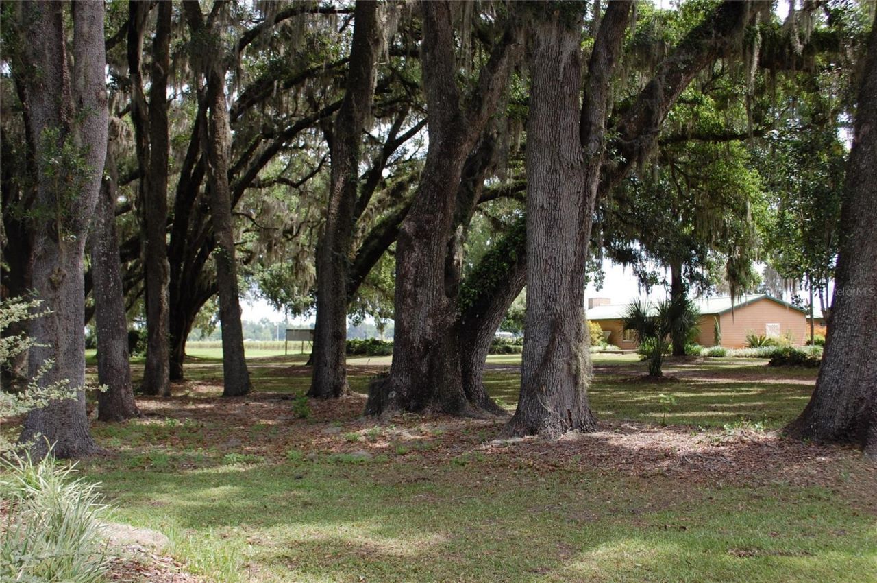 18811 SE 243rd Street, Hawthorne, FL 32640 Photo