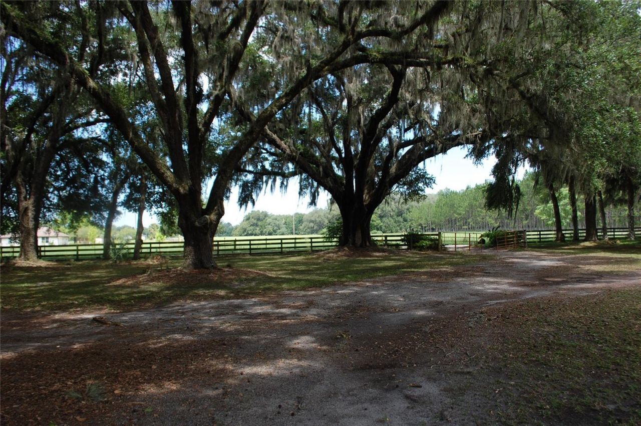 18811 SE 243rd Street, Hawthorne, FL 32640 Photo