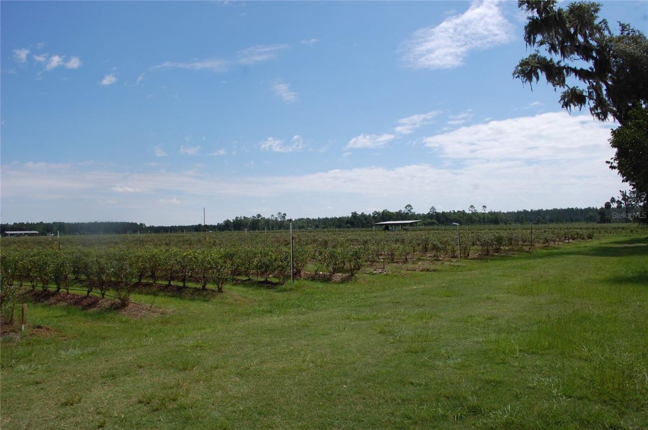 18811 SE 243rd Street, Hawthorne, FL 32640 Photo