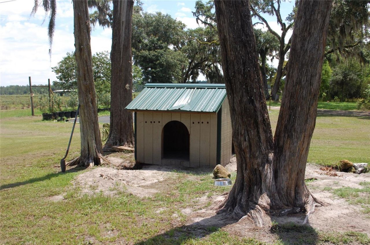 18811 SE 243rd Street, Hawthorne, FL 32640 Photo