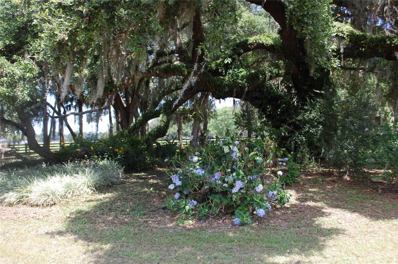 18811 SE 243rd Street, Hawthorne, FL 32640 Photo