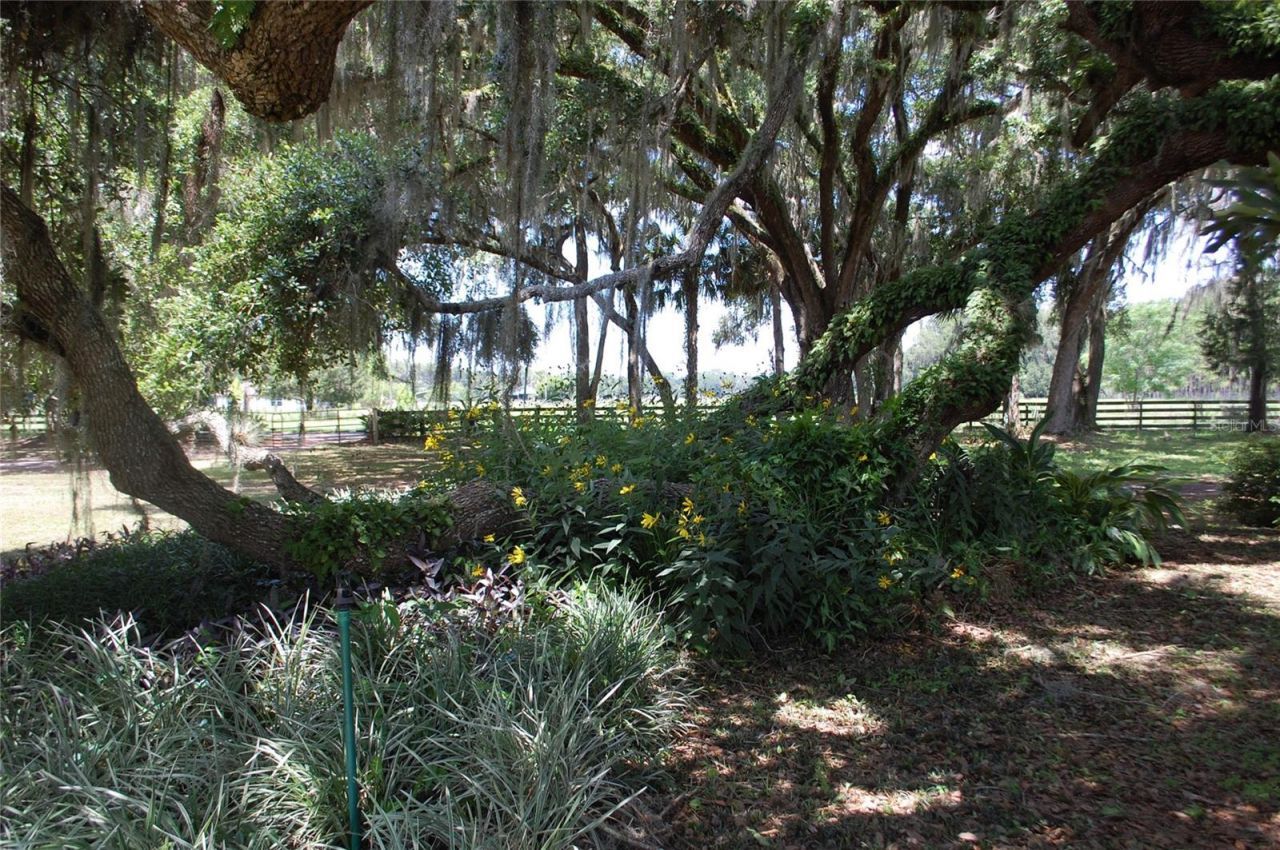 18811 SE 243rd Street, Hawthorne, FL 32640 Photo