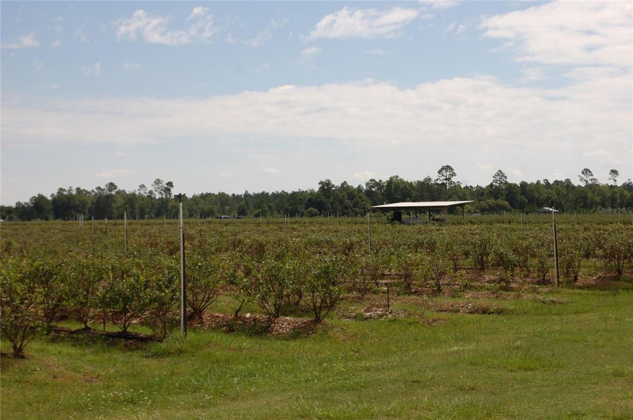 18811 SE 243rd Street, Hawthorne, FL 32640 Photo