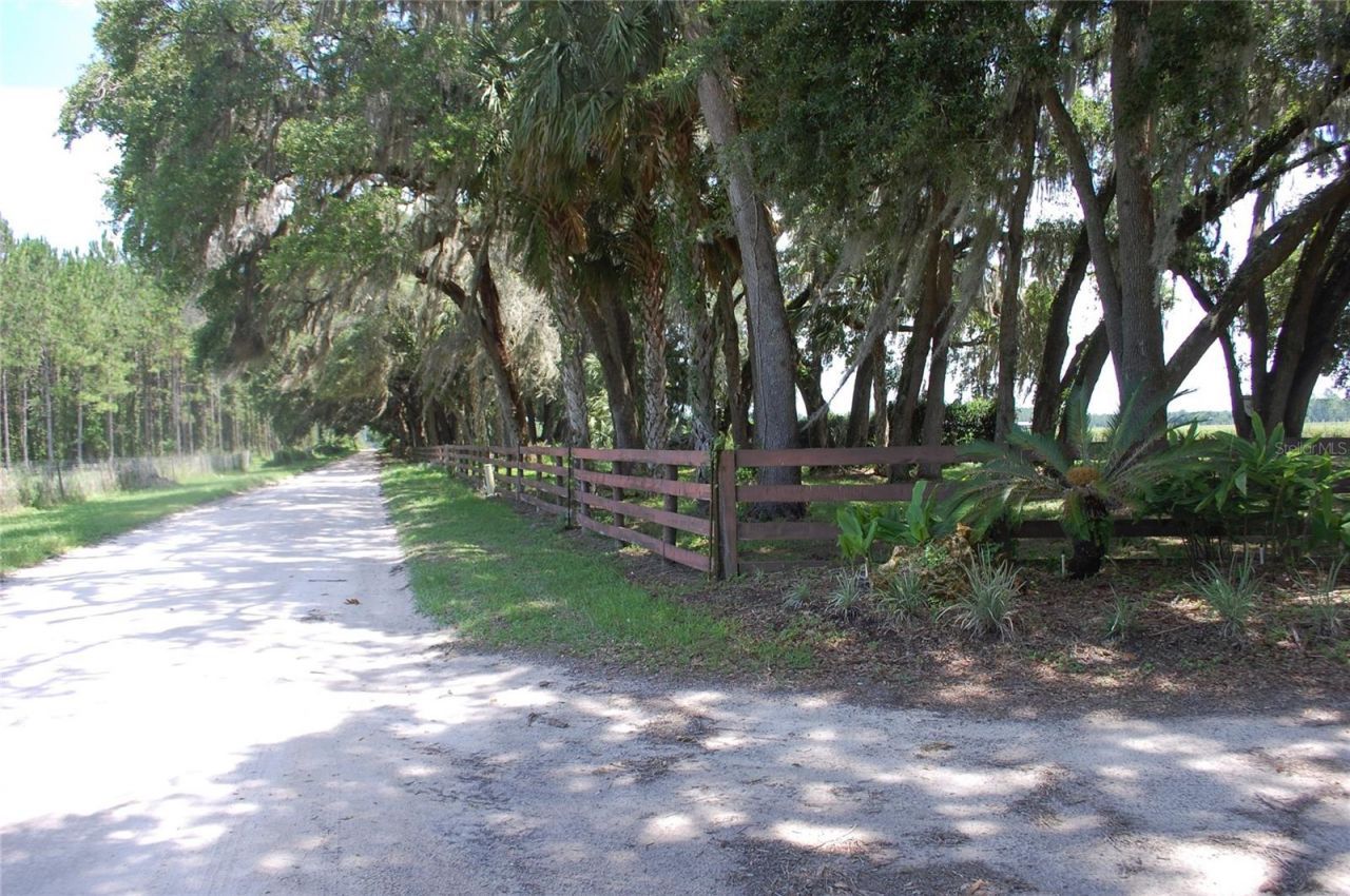 18811 SE 243rd Street, Hawthorne, FL 32640 Photo