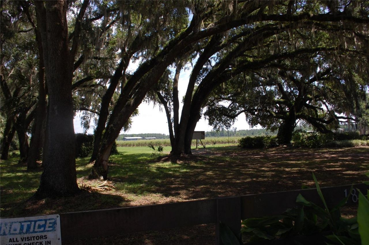 18811 SE 243rd Street, Hawthorne, FL 32640 Photo