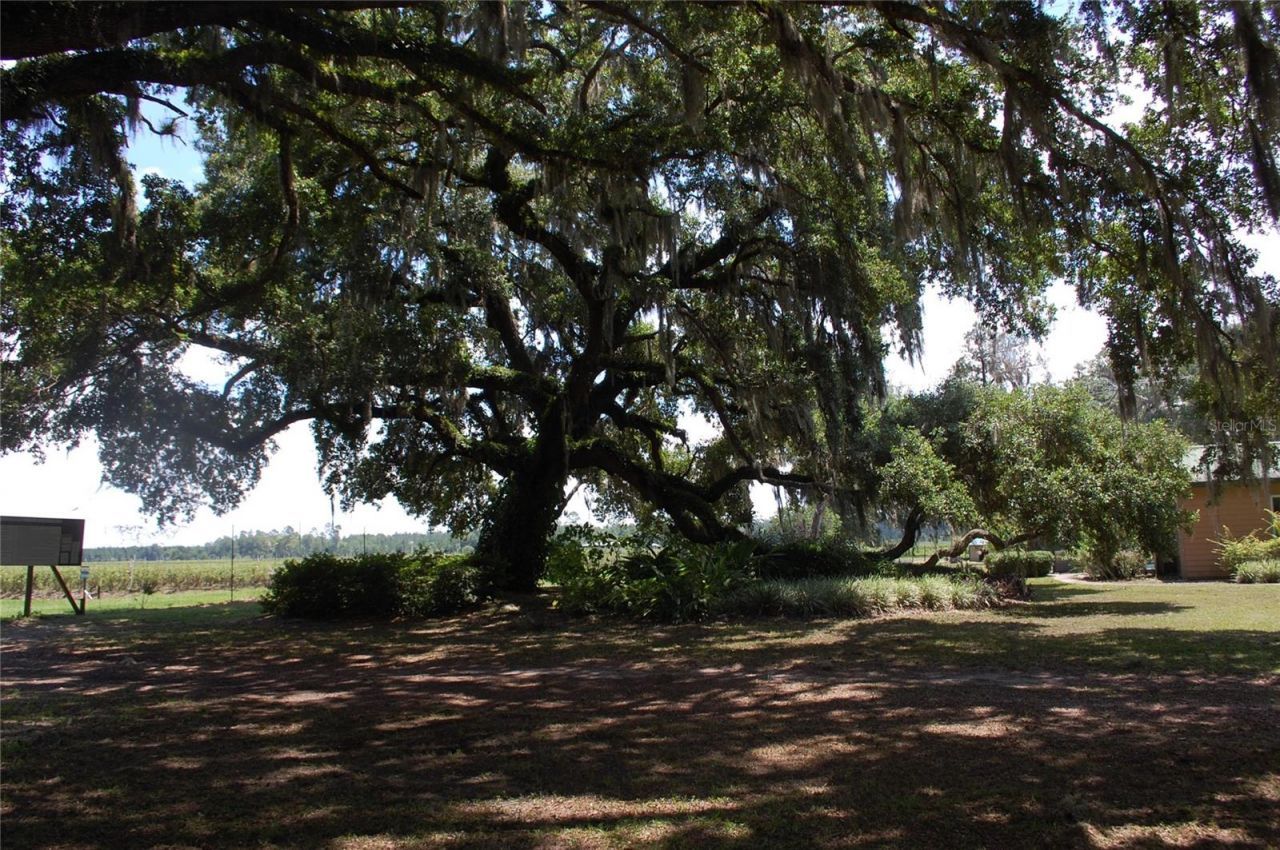 18811 SE 243rd Street, Hawthorne, FL 32640 Photo