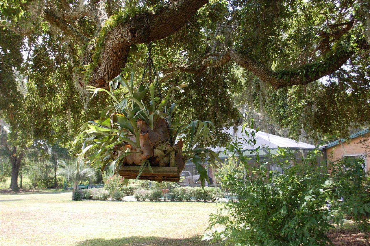 18811 SE 243rd Street, Hawthorne, FL 32640 Photo