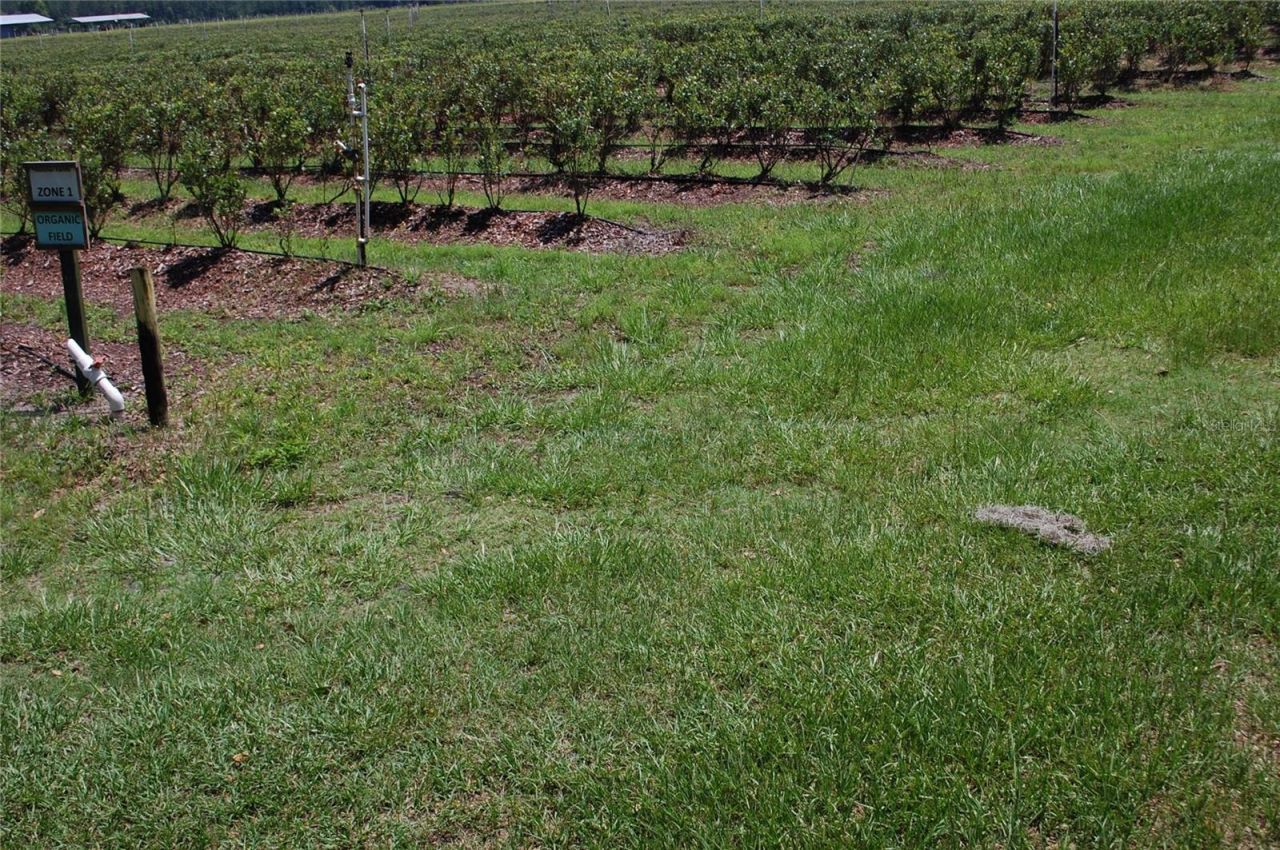 18811 SE 243rd Street, Hawthorne, FL 32640 Photo