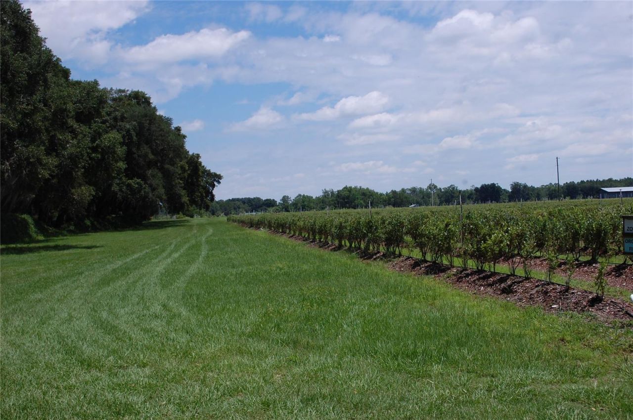 18811 SE 243rd Street, Hawthorne, FL 32640 Photo