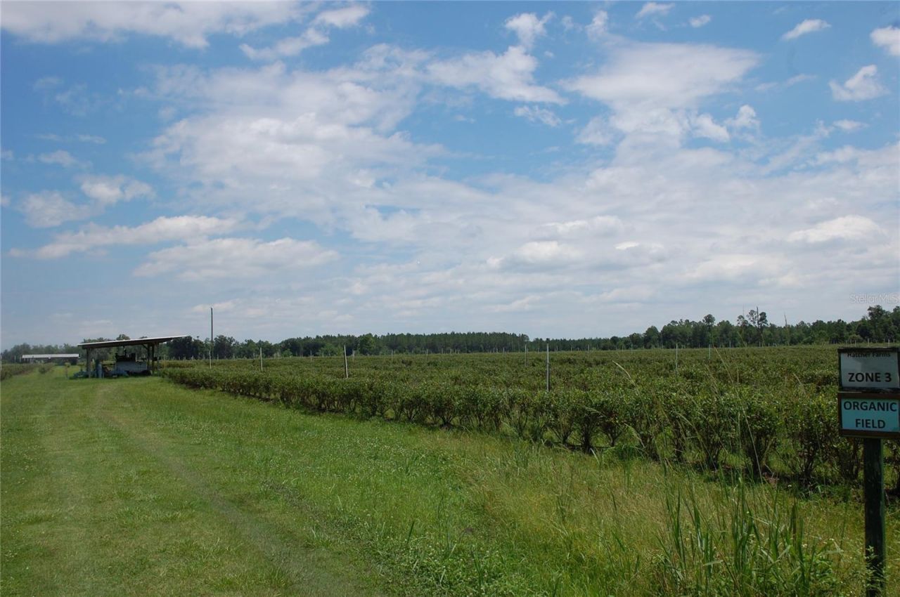 18811 SE 243rd Street, Hawthorne, FL 32640 Photo