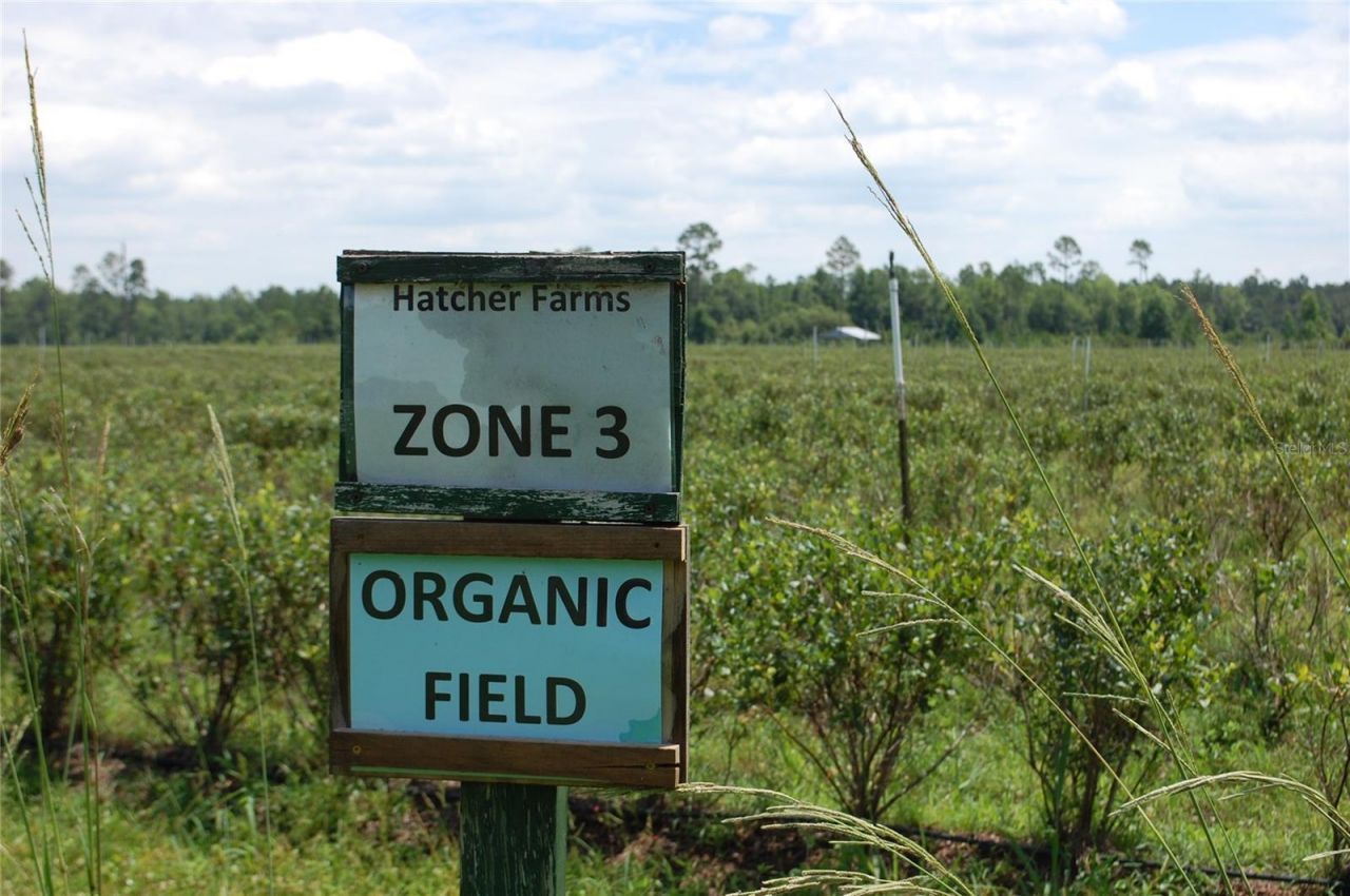 18811 SE 243rd Street, Hawthorne, FL 32640 Photo