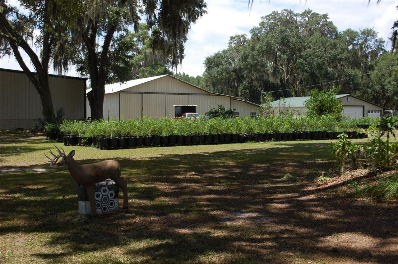 18811 SE 243rd Street, Hawthorne, FL 32640 Photo