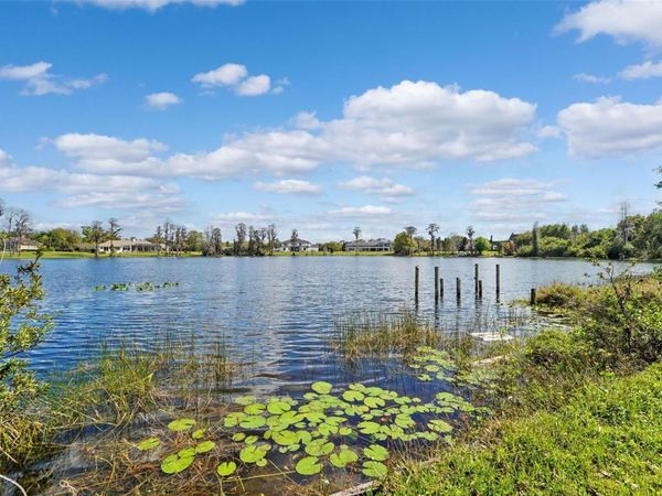 18709 WAYNE ROAD , ODESSA, FL 33556