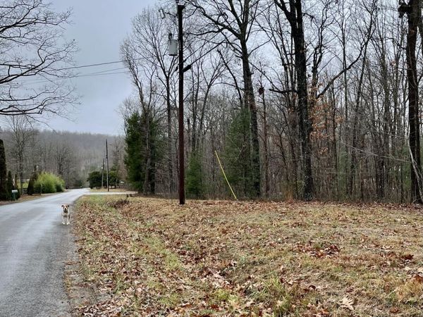 60 Laurel Drive, Dunlap, TN 37327