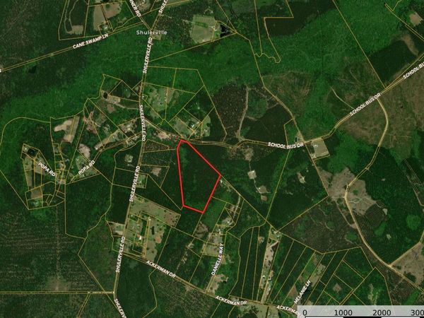 0 School Bus Rd, Jamestown, SC 29453