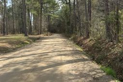 0 School Bus Rd  photo 4