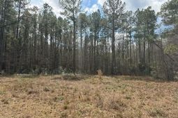 0 School Bus Rd  photo 4