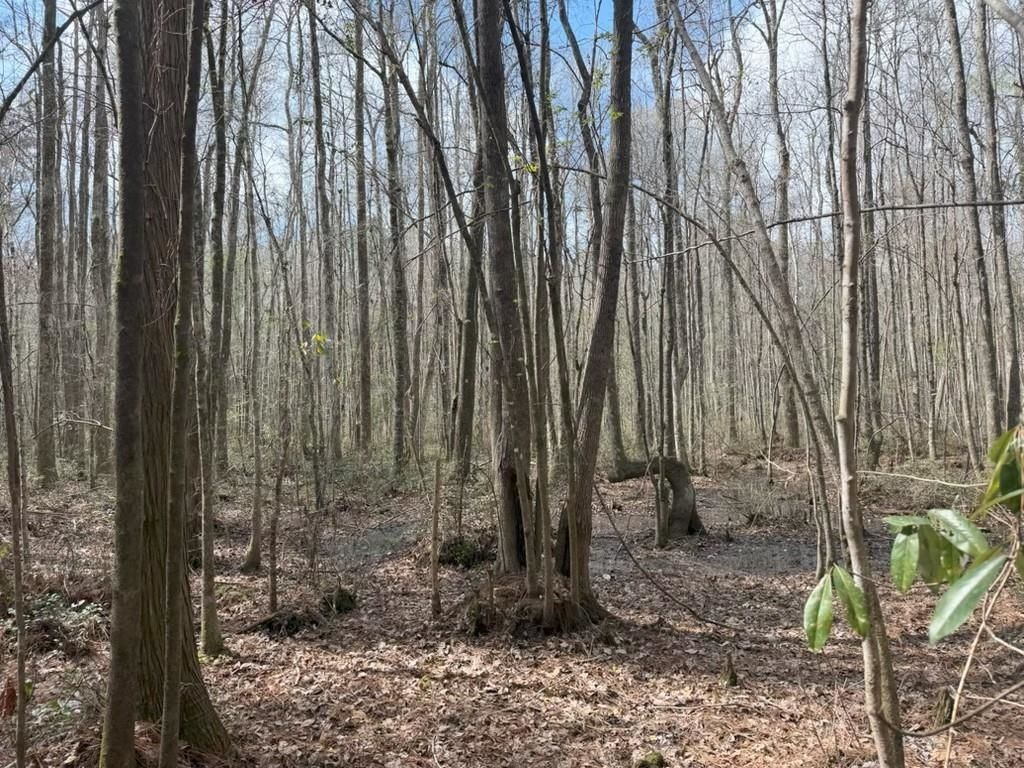 0 School Bus Rd  Photo 7