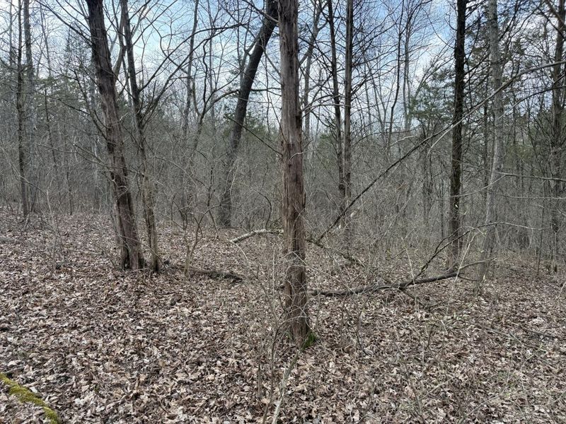 2501 Crittenden Mount Zion Road, Dry Ridge, KY 41035 Photo 10