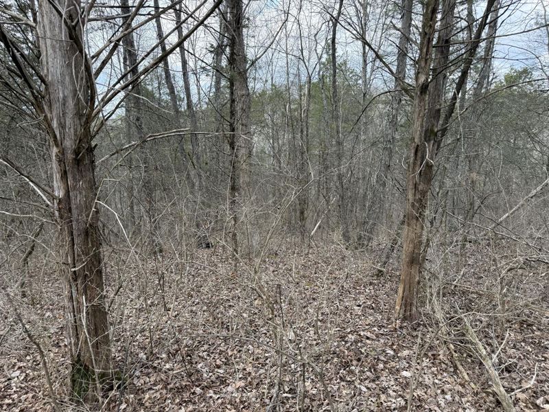 2501 Crittenden Mount Zion Road, Dry Ridge, KY 41035 Photo 11