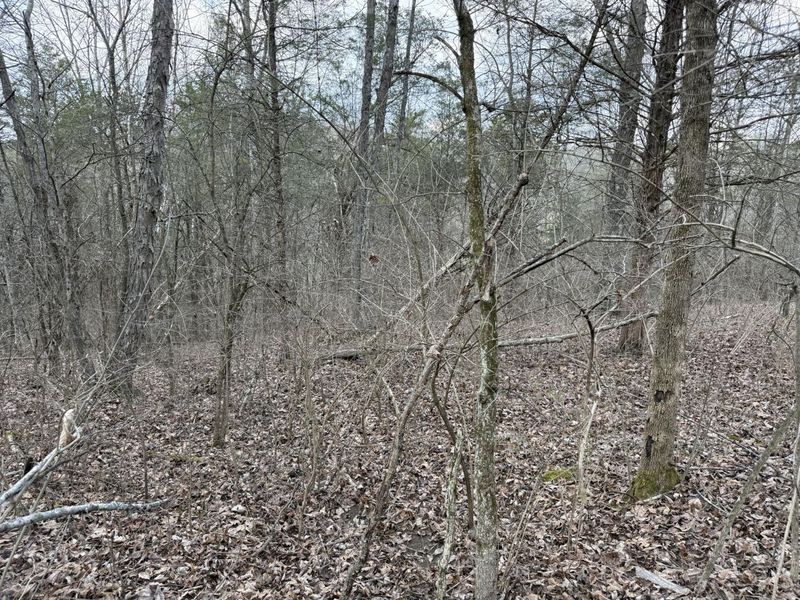 2501 Crittenden Mount Zion Road, Dry Ridge, KY 41035 Photo 12