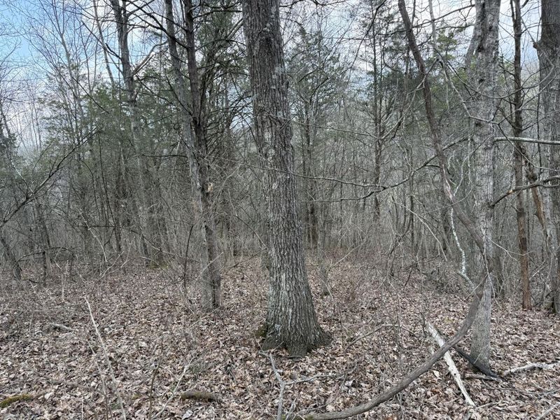 2501 Crittenden Mount Zion Road, Dry Ridge, KY 41035 Photo 13