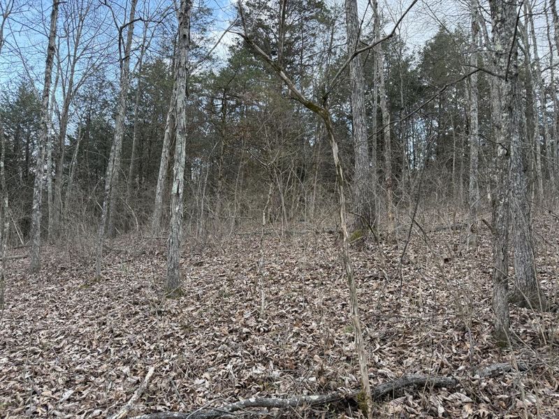 2501 Crittenden Mount Zion Road, Dry Ridge, KY 41035 Photo 15