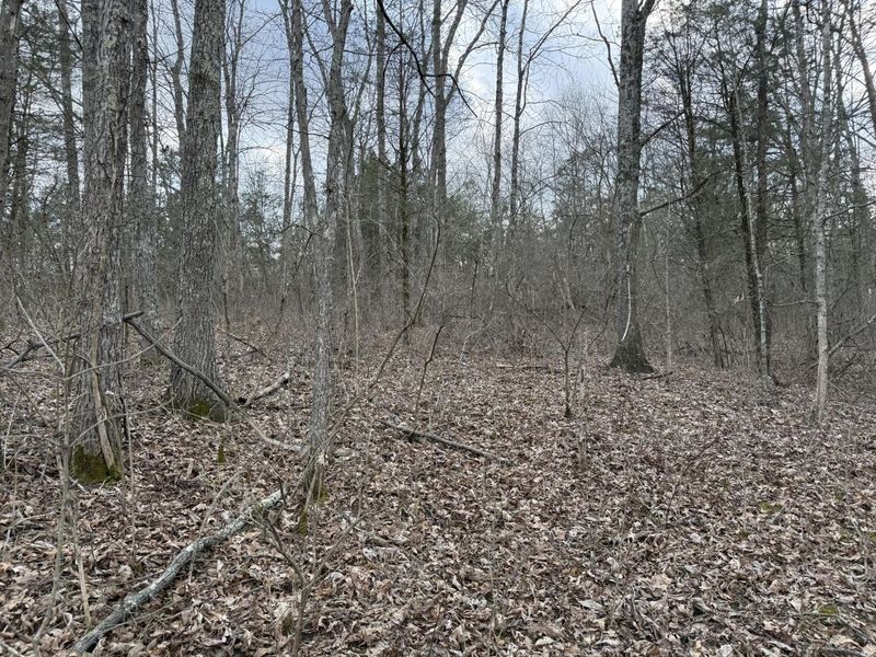 2501 Crittenden Mount Zion Road, Dry Ridge, KY 41035 Photo 16